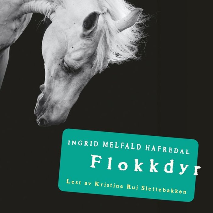 Flokkdyr