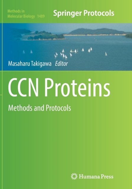 CCN Proteins