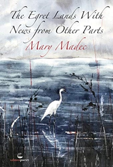Egret Lands With News From Other Parts