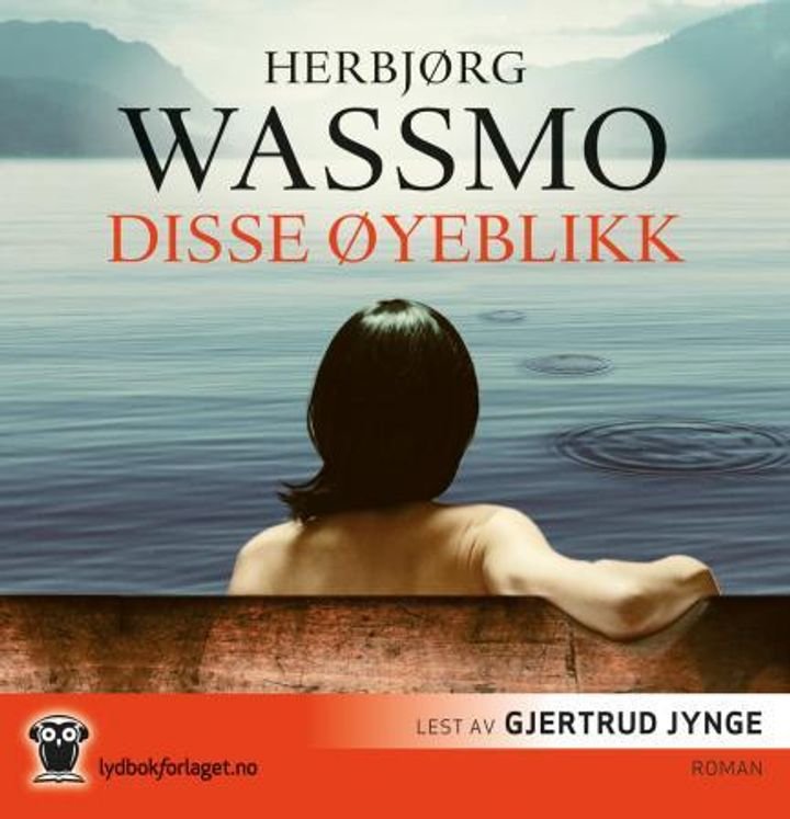 Disse øyeblikk - roman