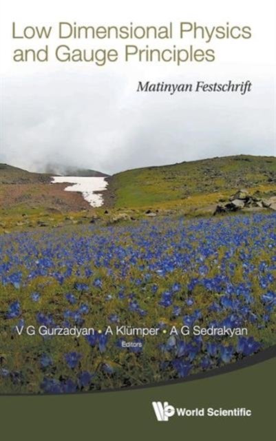 Low Dimensional Physics And Gauge Principles: Matinyan's Festschrift