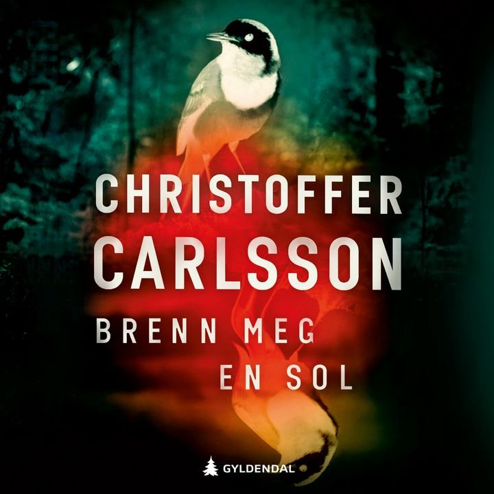 Brenn meg en sol - en roman om en forbrytelse