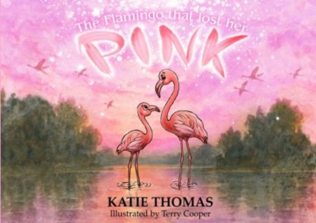 The Flamingo That Lost Her Pink