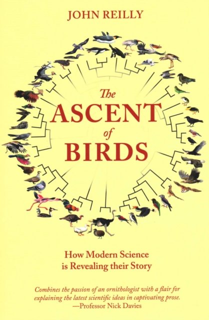 The Ascent of Birds