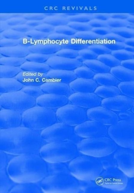 B-Lymphocyte Differentiation
