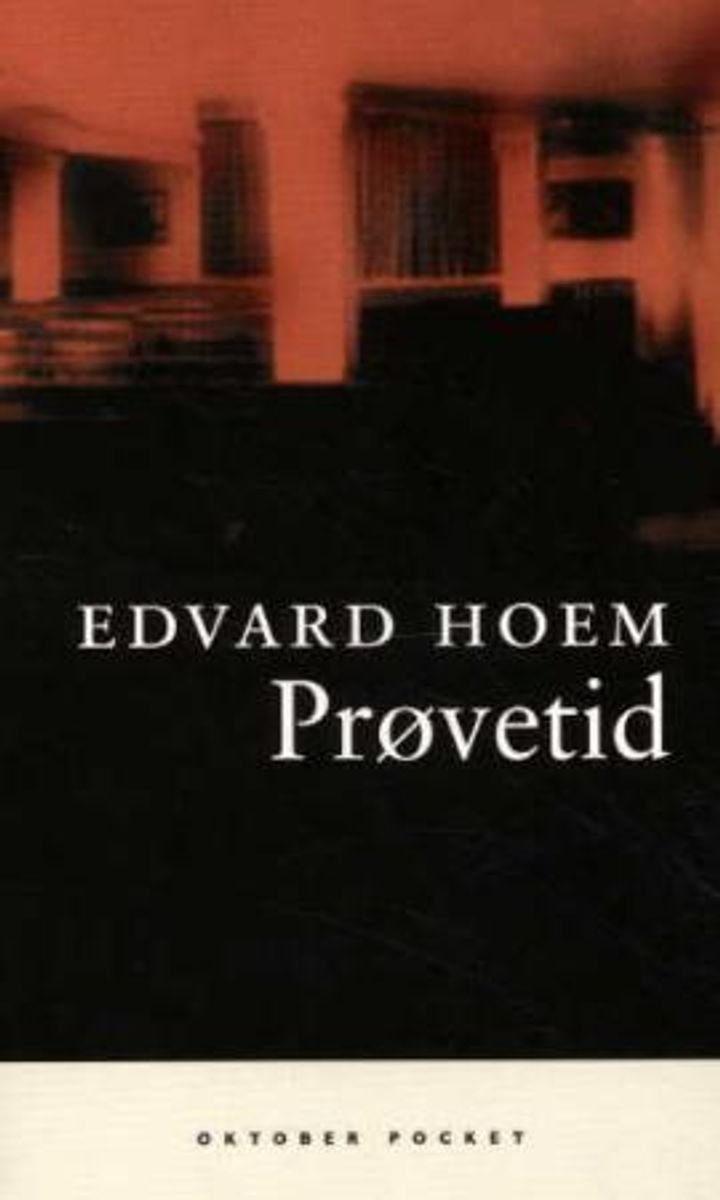 Prøvetid - roman