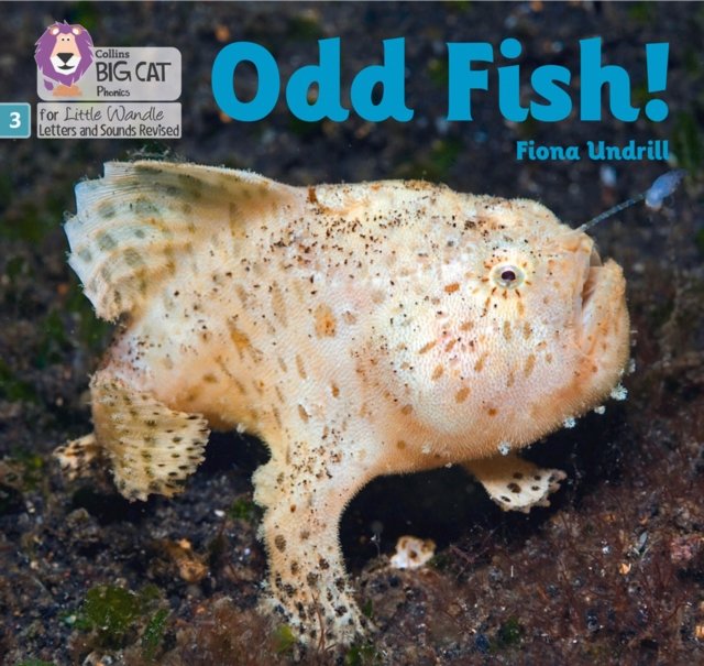 BIG CAT LW L&S _ODD FISH