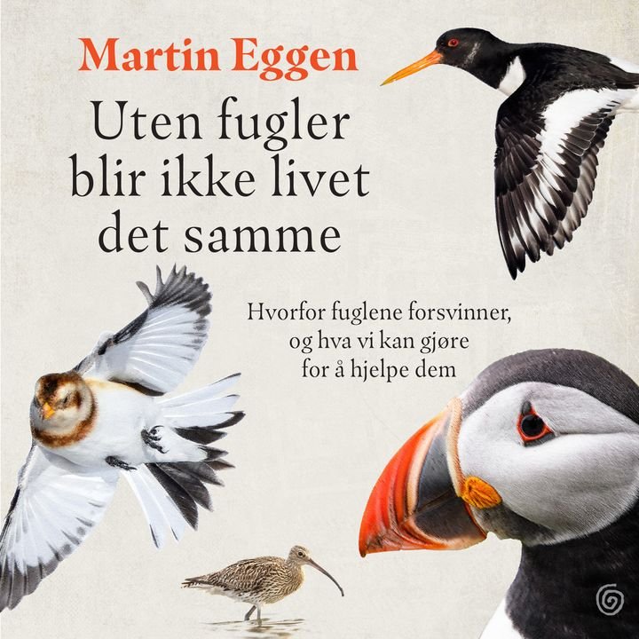 Uten fugler blir ikke livet det samme - hvorfor fuglene forsvinner, og hva vi kan gjøre for å hjelpe dem