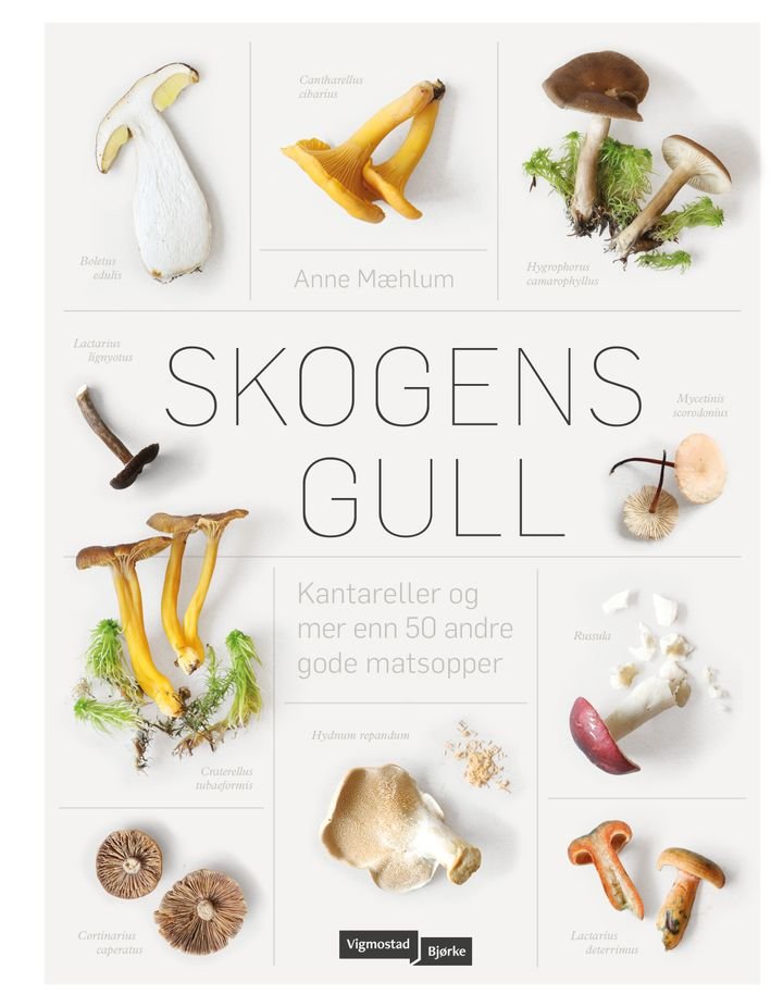 Skogens gull