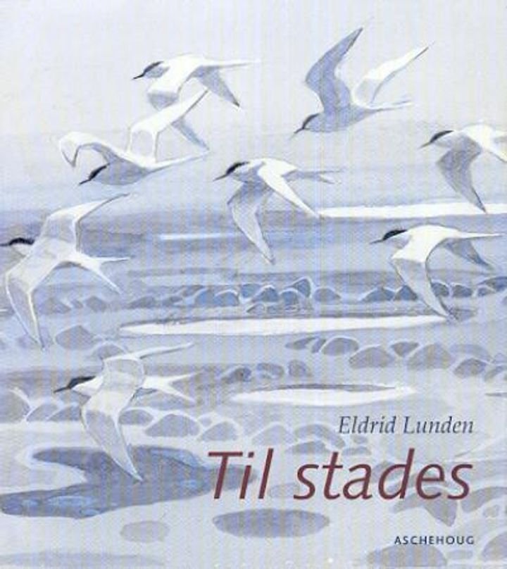 Til stades - tekstar om erindring og gløymsle