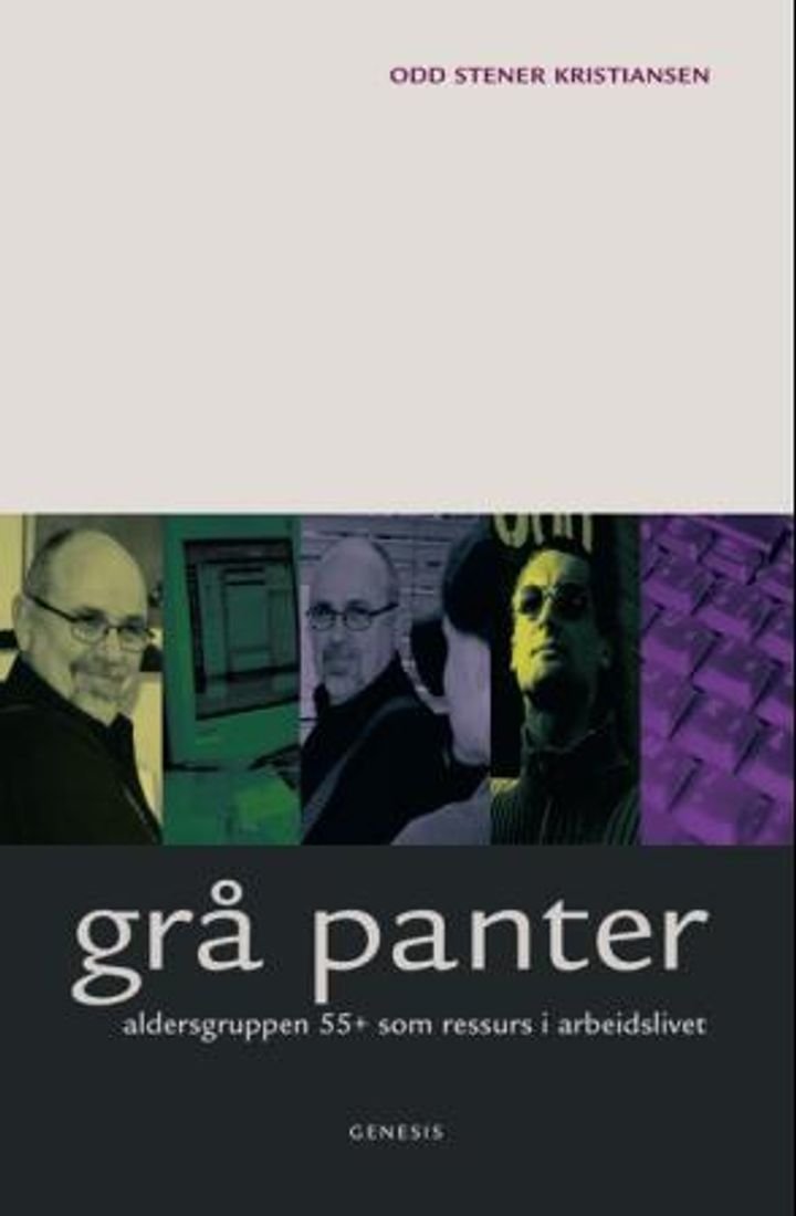 Grå panter - aldersgruppen 55+ som ressurs i arbeidslivet
