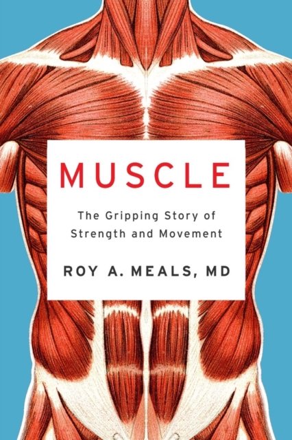 Muscle