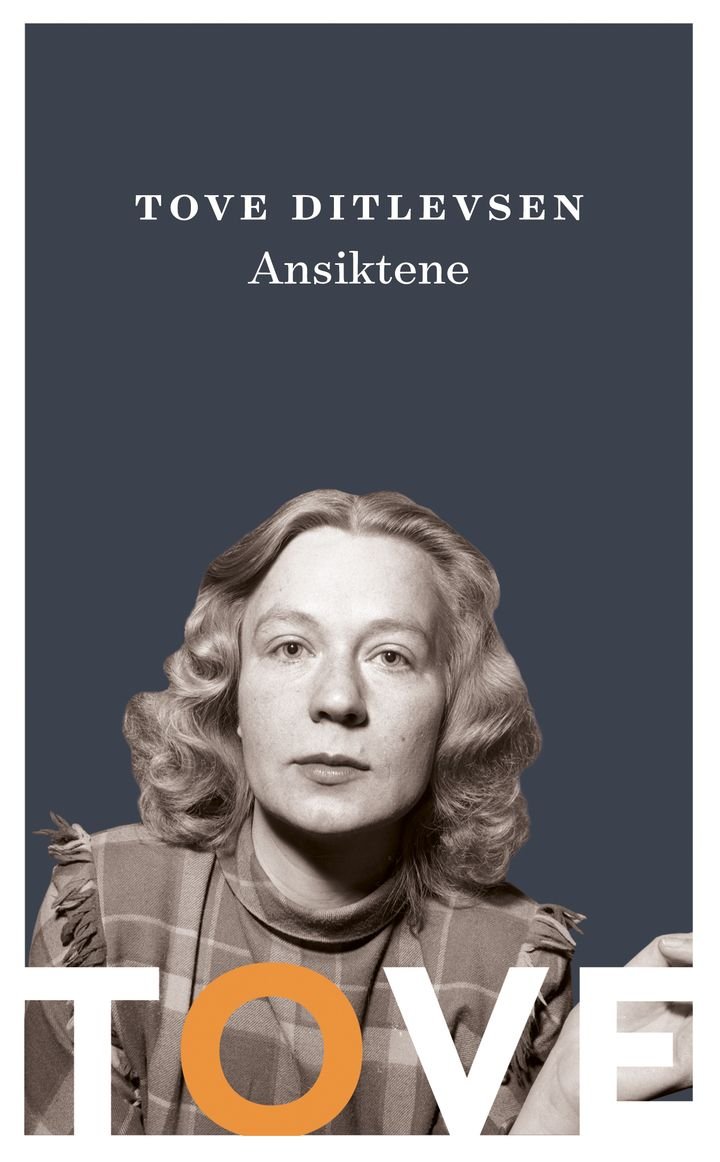 Ansiktene - roman