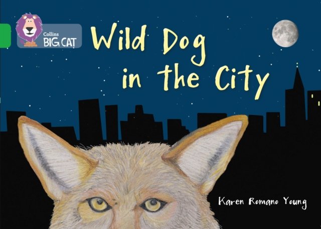 BIG CAT_WILD DOG IN CITY