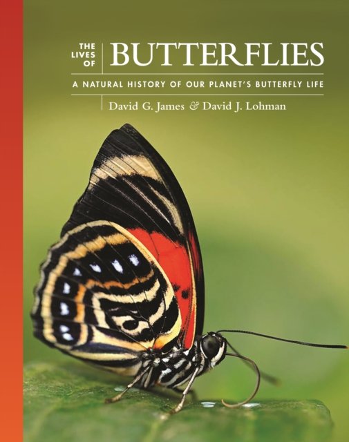 The Lives of Butterflies – A Natural History of Our Planet's Butterfly Life