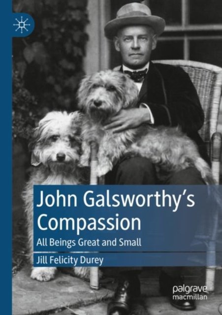 John Galsworthy''s Compassion
