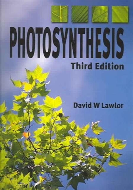 Photosynthesis
