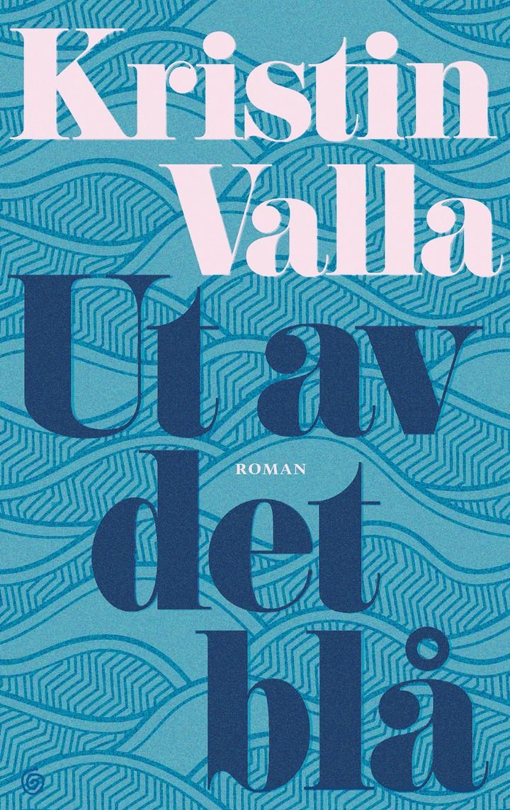 Ut av det blå - roman