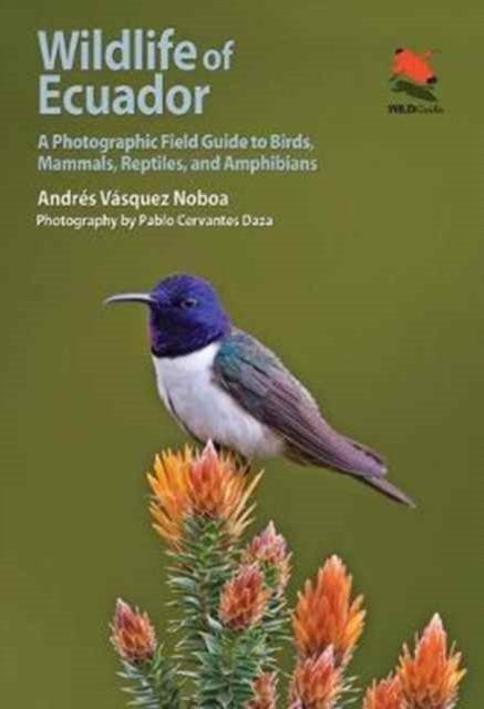 Wildlife of Ecuador – A Photographic Field Guide to Birds, Mammals, Reptiles, and Amphibians