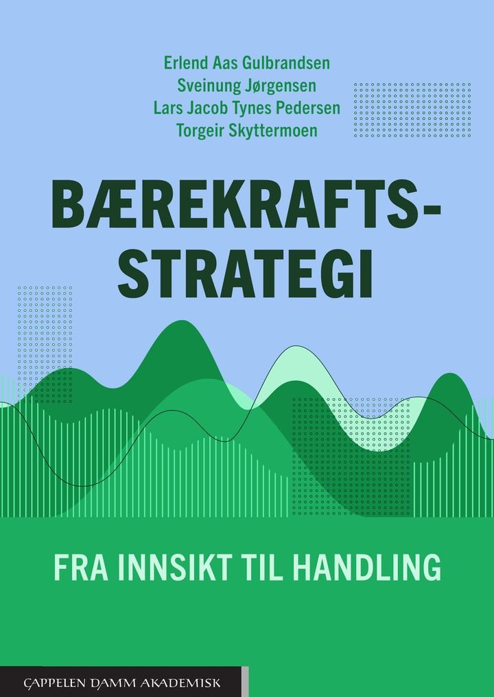 Bærekraftsstrategi - fra innsikt til handling