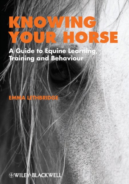 Knowing Horse