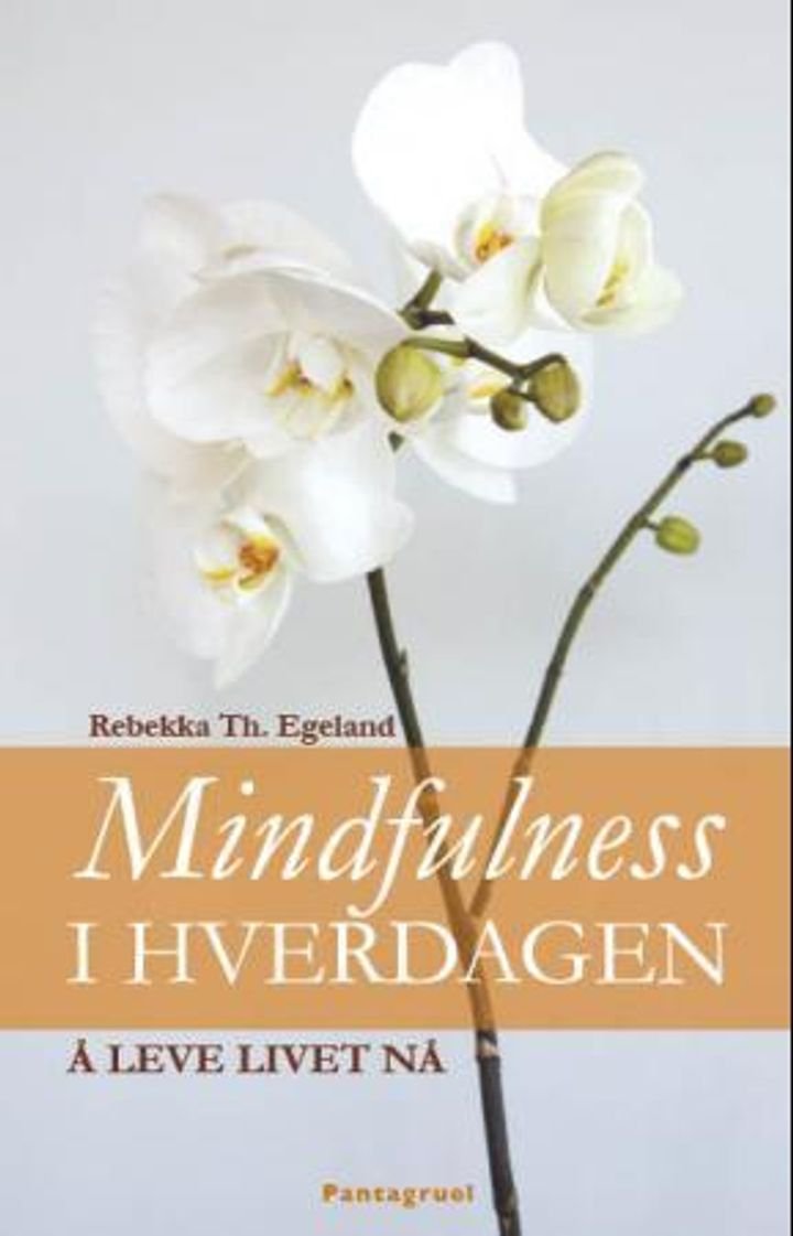 Mindfulness i hverdagen - lev livet nå