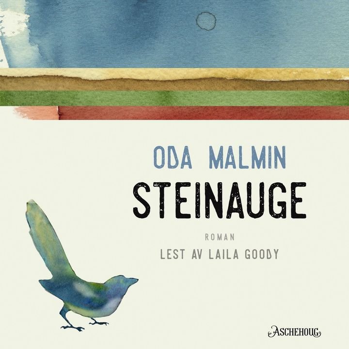 Steinauge - roman