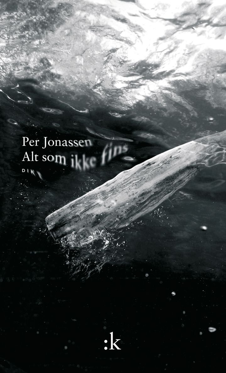Alt som ikke fins - dikt