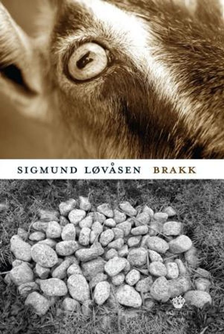 Brakk - roman