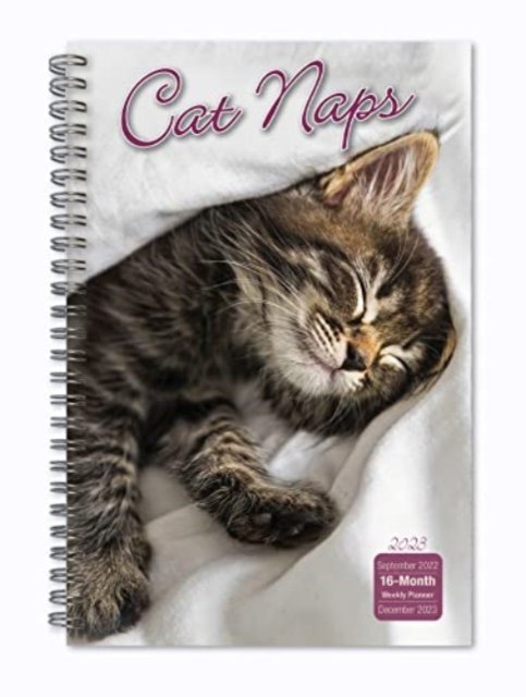 CAT NAPS
