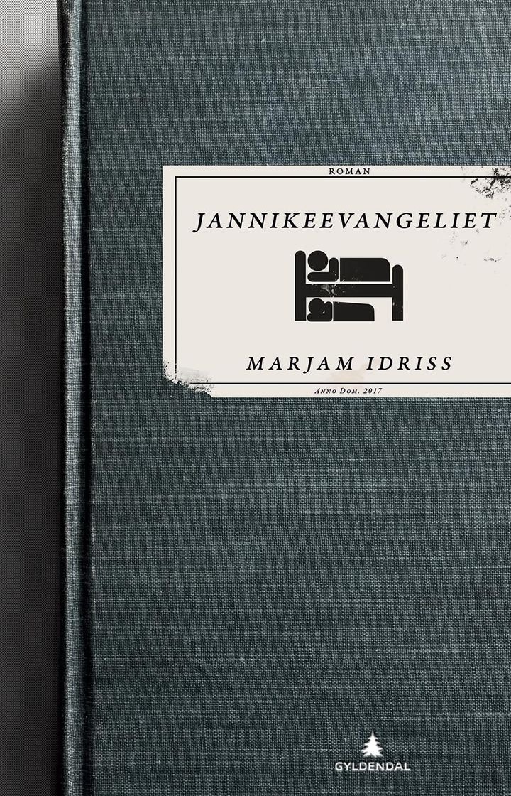Jannikeevangeliet - roman