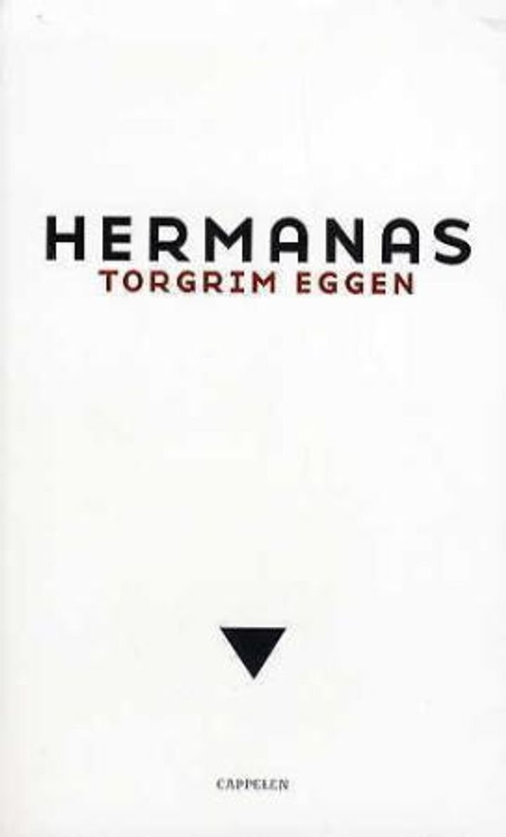 Hermanas - roman
