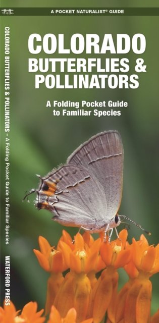 Colorado Butterflies & Pollinators