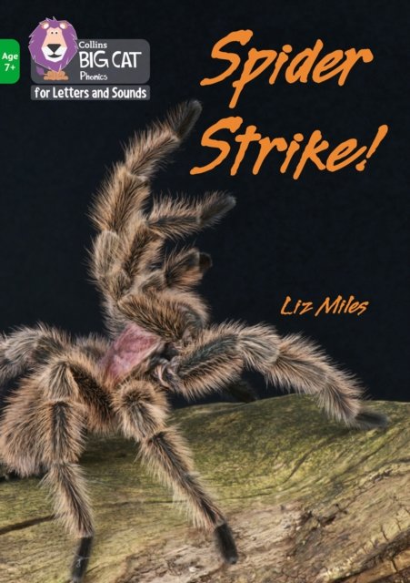 BIG CAT L&S KS2_SPIDER STRIKE