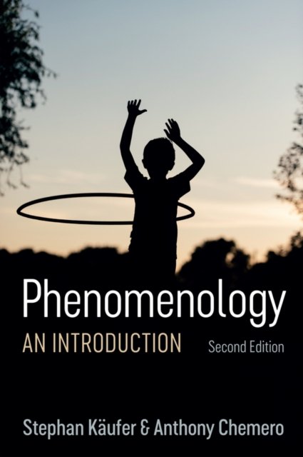 Phenomenology – An Introduction