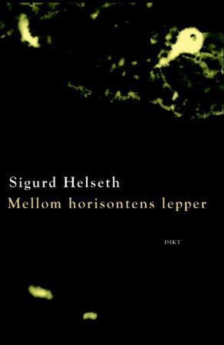 Mellom horisontens lepper - kvit fuge : dikt