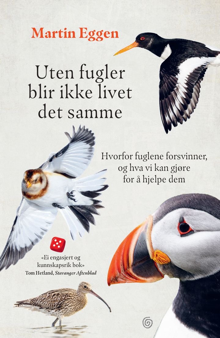 Uten fugler blir ikke livet det samme - hvorfor fuglene forsvinner, og hva vi kan gjøre for å hjelpe dem