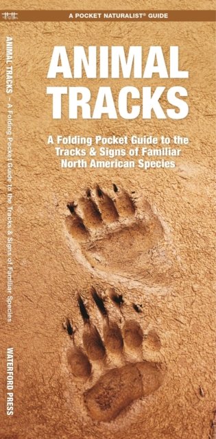 Animal Tracks