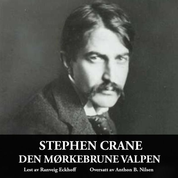 Den mørkebrune valpen