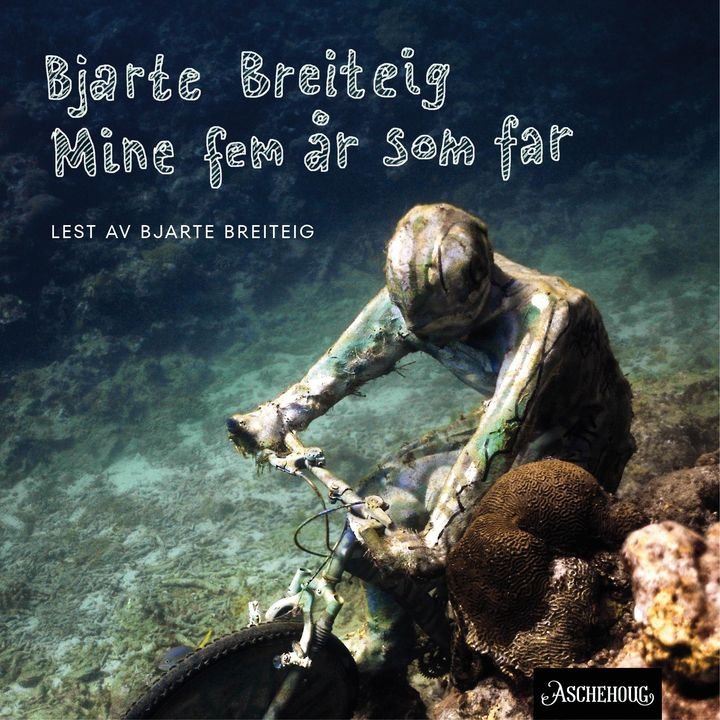 Mine fem år som far - roman