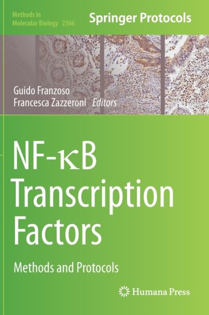 NF-?B Transcription Factors