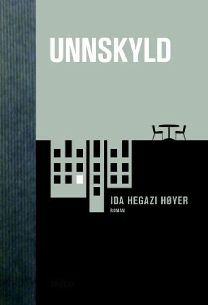 Unnskyld - roman