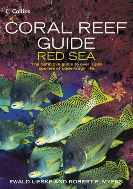 CORAL REEF GUIDE RED SEA PB