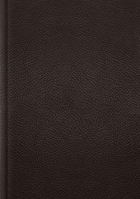 ESV Single Column Journaling Bible, Large Print