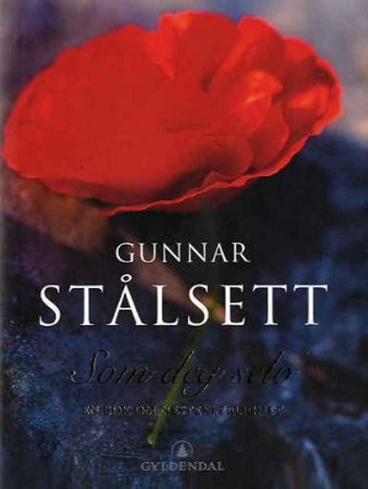 Som deg selv - en bok om nestekjærlighet