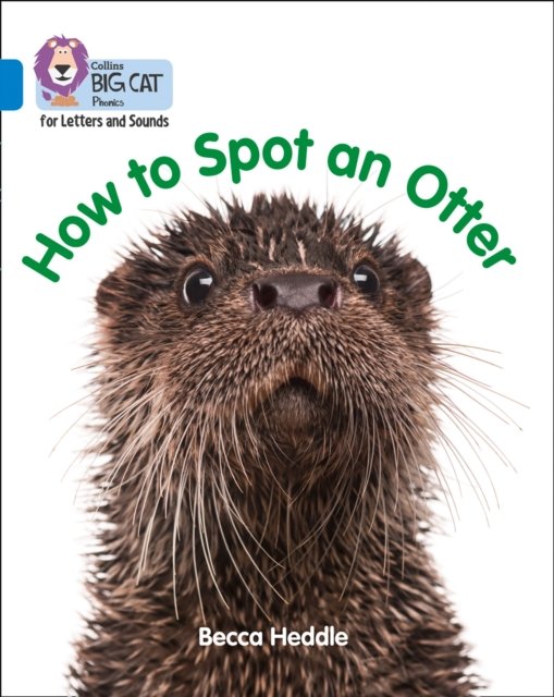 BIG CAT PHONICS - SPOT OTTER
