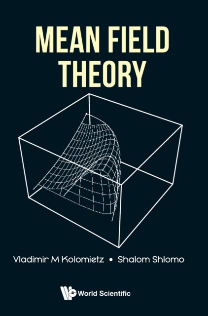 Mean Field Theory