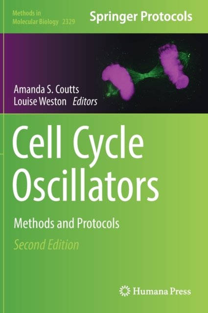 Cell Cycle Oscillators
