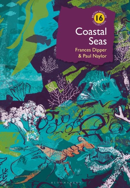 Coastal Seas