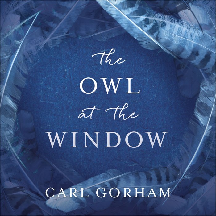 The Owl at the Window